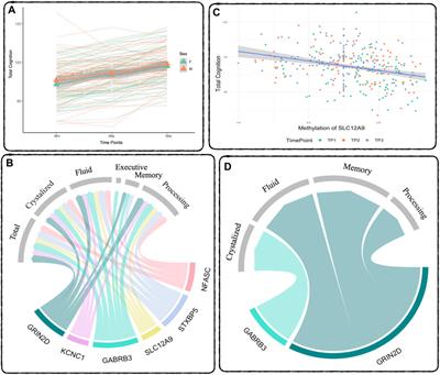 Epigenetic associations with adolescent grey matter maturation and cognitive development